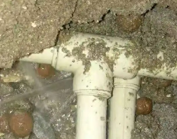 莎车测漏水多少钱