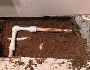 莎车测漏水哪家好