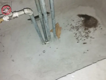 莎车卫生间测漏水价格明细