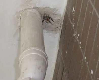 莎车漏水检测哪家好